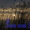 olivier-gaelle-taniou