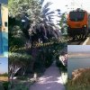 ffmfidf_lpt78_zander-edgard