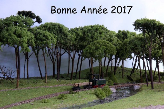 bonne-annee-2017